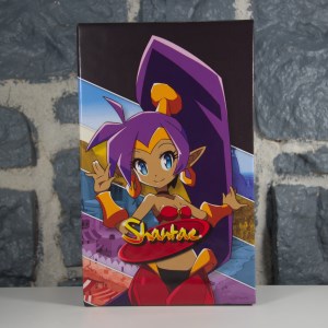 Shantae Switch Slipcover (02)